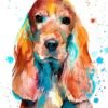 English Cocker Spaniel watercolor painting print by Slaveika Aladjova