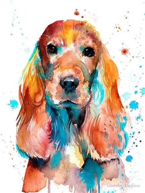 English Cocker Spaniel watercolor painting print by Slaveika Aladjova