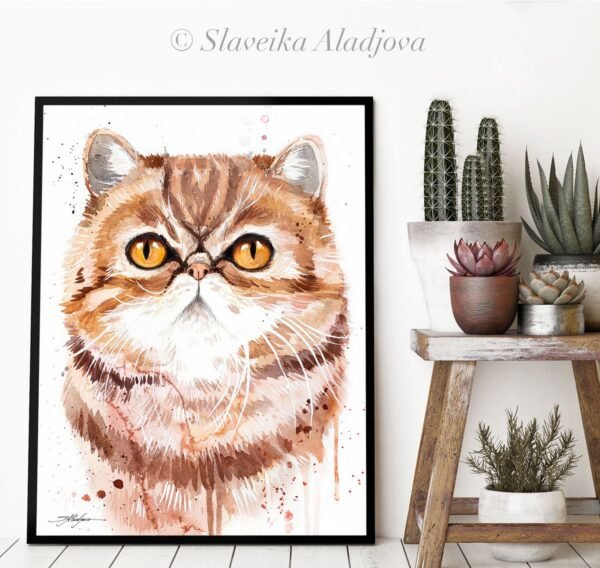 Exotic Shorthair cat