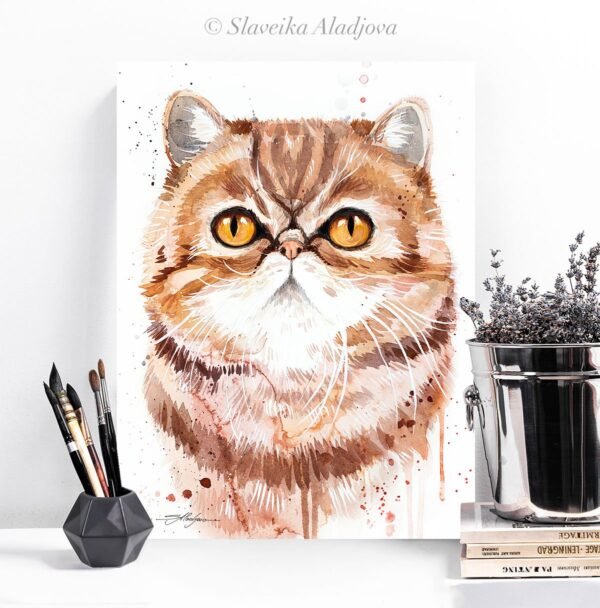 Exotic Shorthair cat