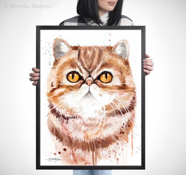 Exotic Shorthair cat