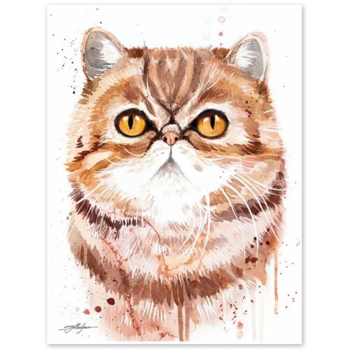 Exotic Shorthair cat