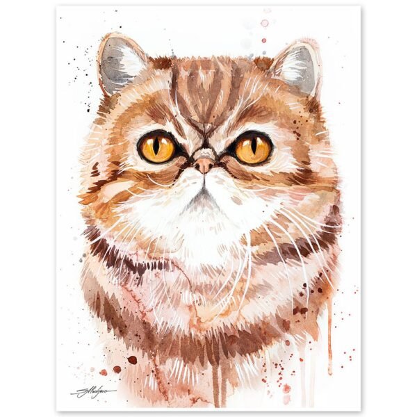 Exotic Shorthair cat
