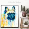 Fawn French Bulldog