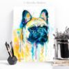 Fawn French Bulldog