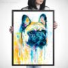 Fawn French Bulldog