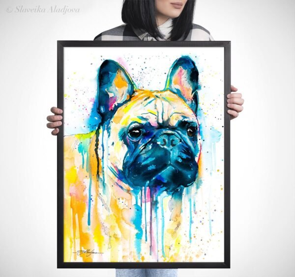 Fawn French Bulldog