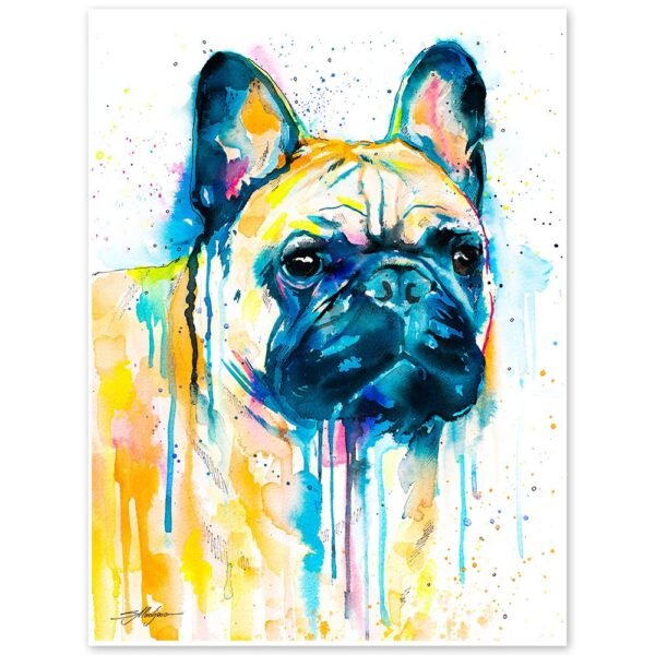 Fawn French Bulldog