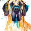 Fawn Great Dane