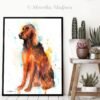 Irish Setter