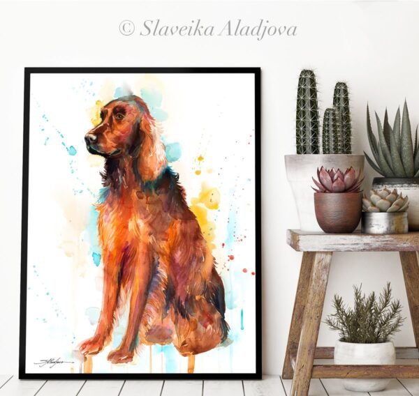 Irish Setter