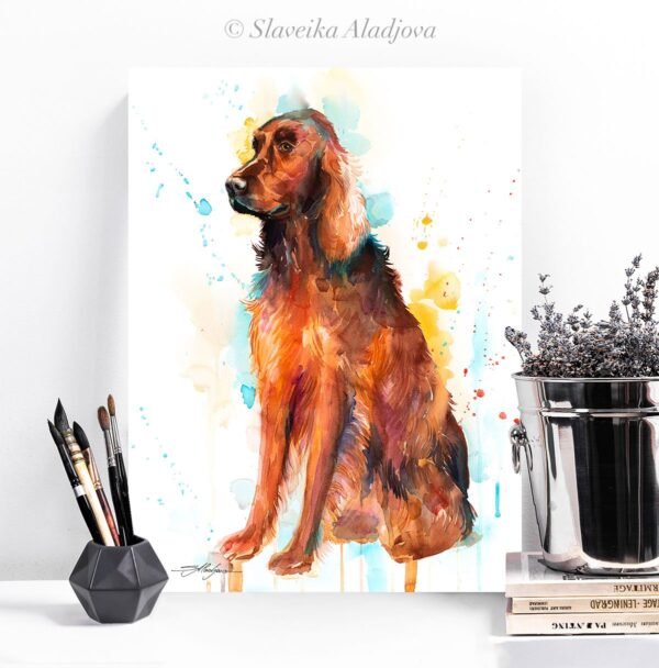 Irish Setter