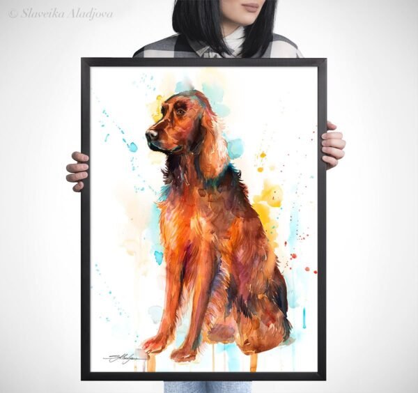 Irish Setter