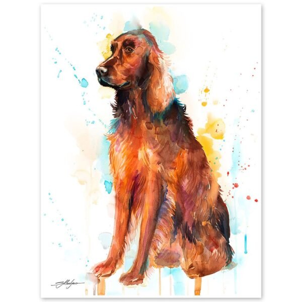 Irish Setter