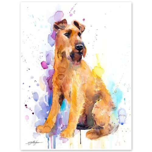 Irish Terrier