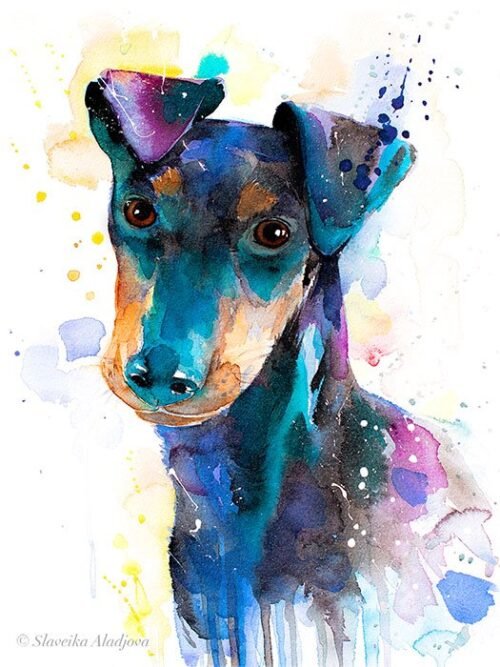 Manchester Terrier watercolor painting print by Slaveika Aladjova