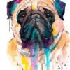 Pug watercolor painting print by Slaveika Aladjova