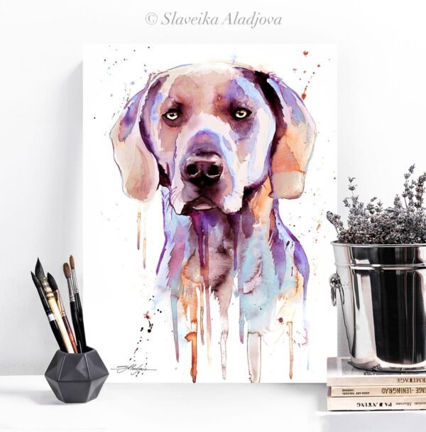 Purple Weimaraner1 Purple Weimaraner1