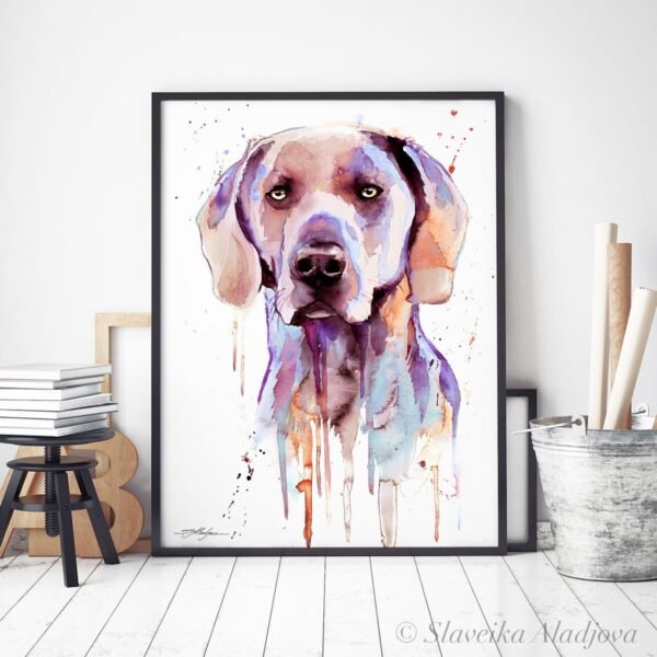 Purple Weimaraner1 Purple Weimaraner1