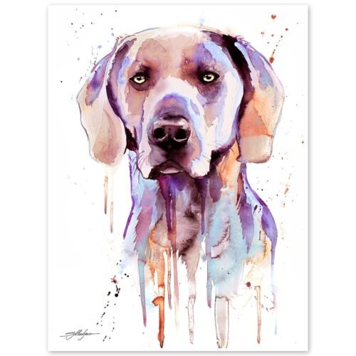 Purple Weimaraner1