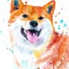 Red Shiba Inu