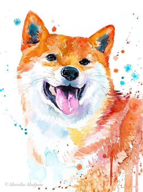 Red Shiba Inu