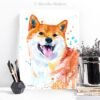 Red Shiba Inu