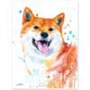 Red Shiba Inu