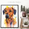 Rhodesian Ridgeback Rhodesian Ridgeback