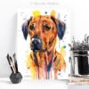 Rhodesian Ridgeback Rhodesian Ridgeback