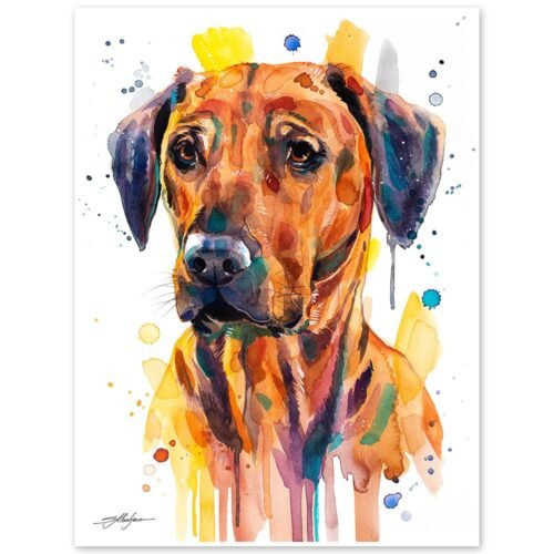 Rhodesian Ridgeback