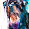 Rottweiler