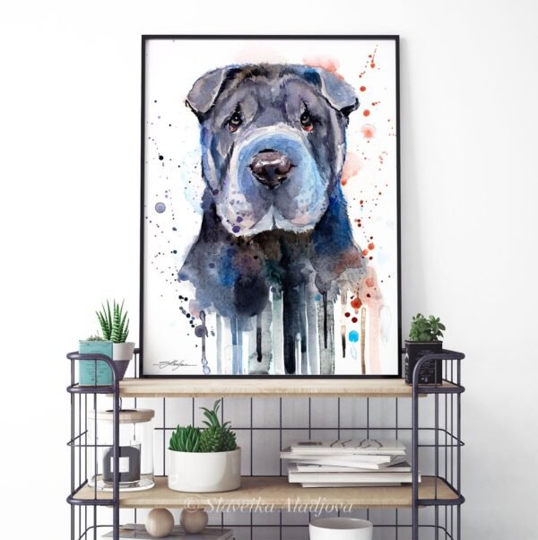 Shar Pei