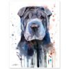 Shar Pei