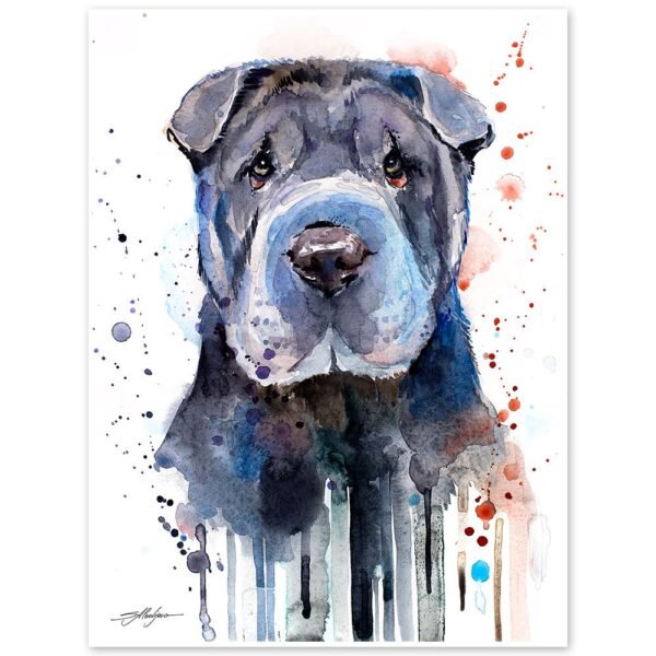 Shar Pei