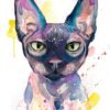 Sphynx cat Sphynx cat