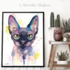 Sphynx cat Sphynx cat