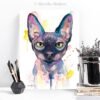 Sphynx cat Sphynx cat
