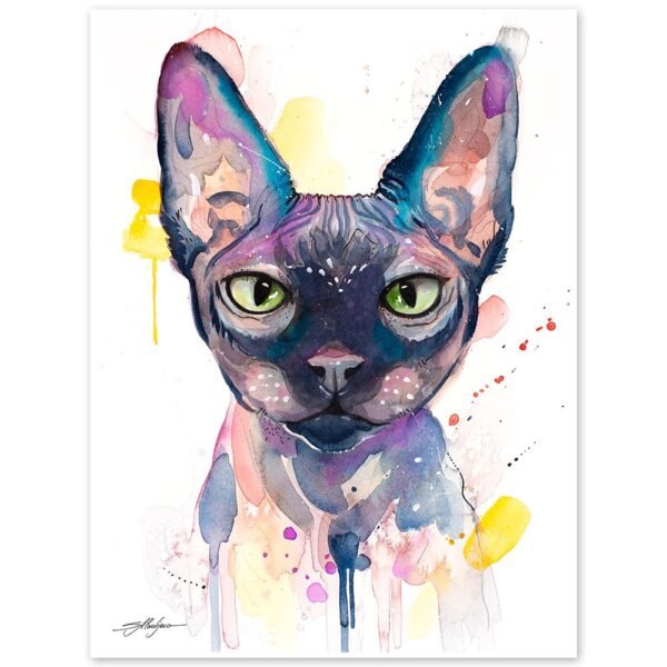 Sphynx cat Sphynx cat