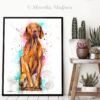 Vizsla Dog
