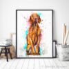 Vizsla Dog