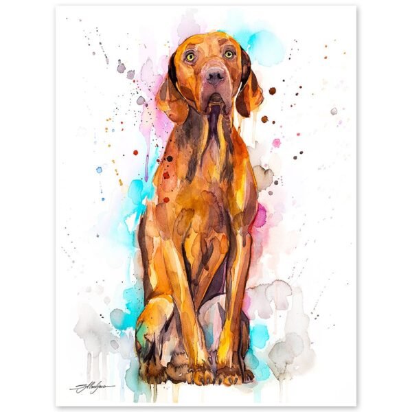 Vizsla Dog