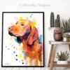 Vizsla Vizsla