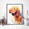 Vizsla Vizsla