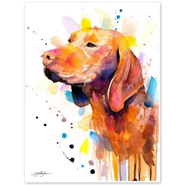 Vizsla Vizsla