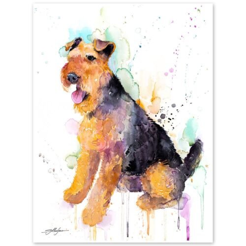 Welsh Terrier