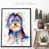 Yorkshire Terrier Yorkshire Terrier