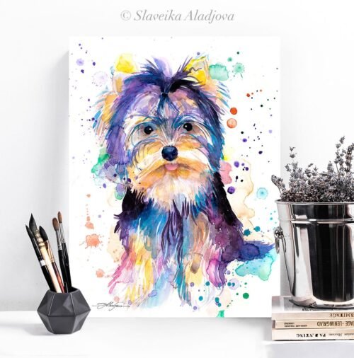 Yorkshire Terrier