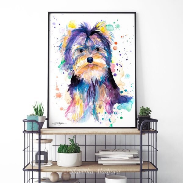 Yorkshire Terrier Yorkshire Terrier