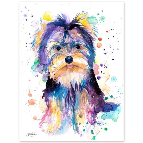 Yorkshire Terrier Yorkshire Terrier